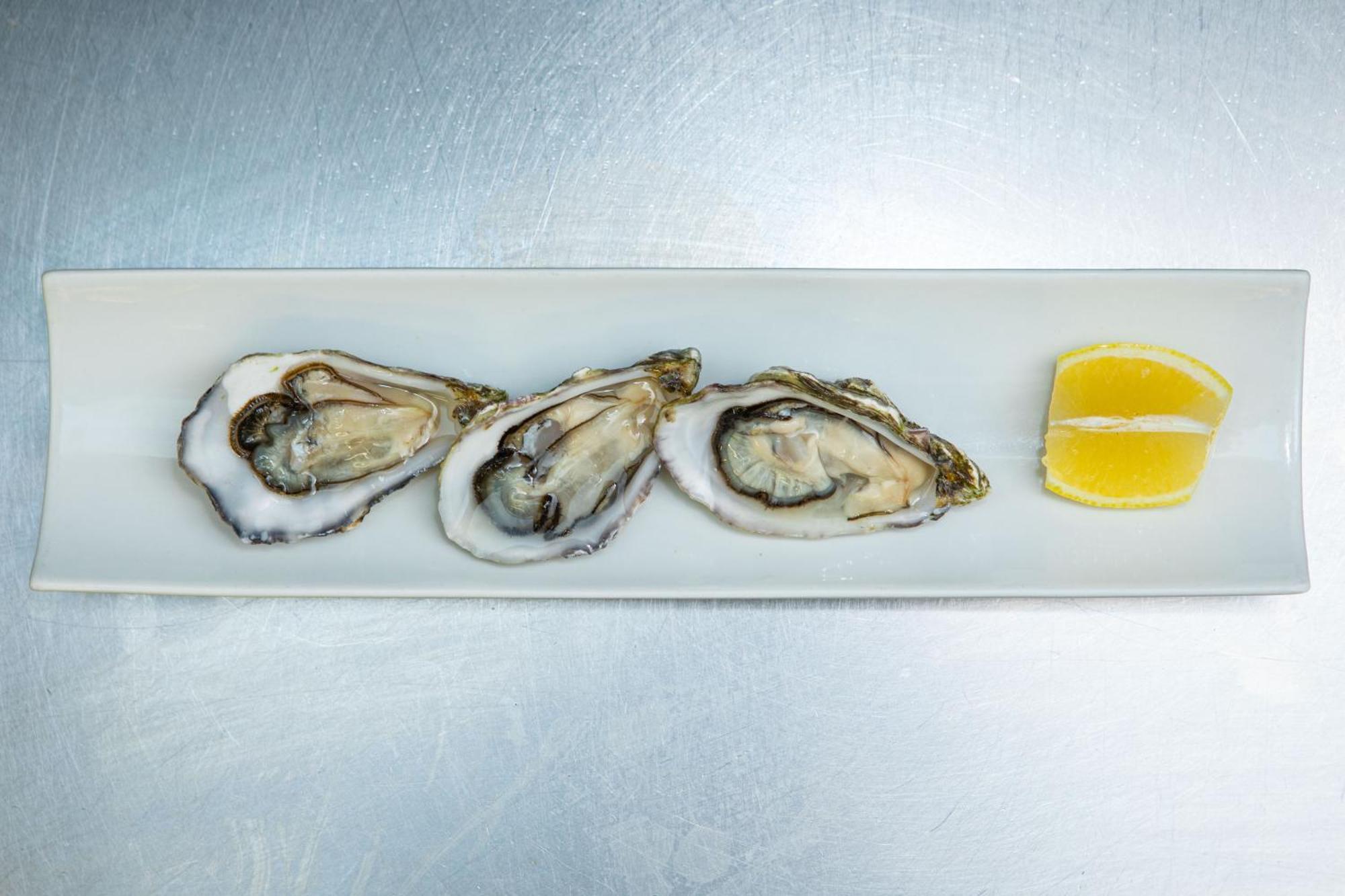 Ashes Seafood Restaurant Accommodation Ντίνγκλε Εξωτερικό φωτογραφία