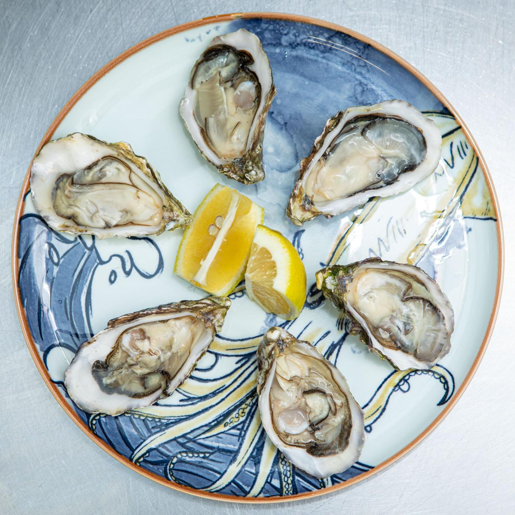 Ashes Seafood Restaurant Accommodation Ντίνγκλε Εξωτερικό φωτογραφία